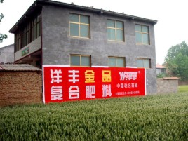 鄂州如何让墙体广告展现最大化效果
